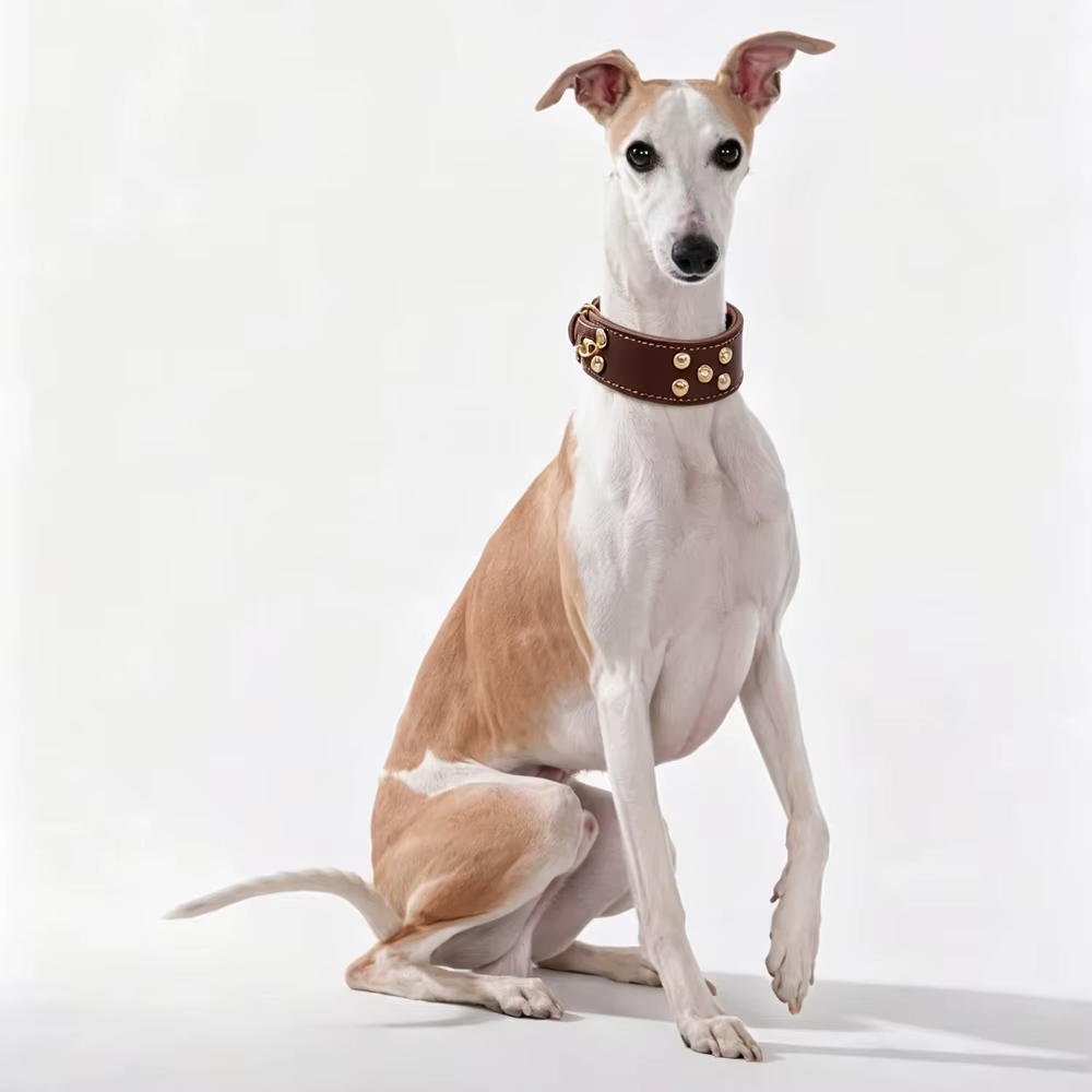 Collar cuero ajustable con tachuelas para perros pequeños y medianos - imagen 3