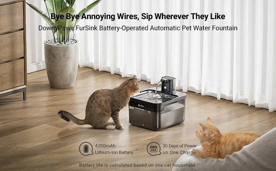 Fuente automática DownyPaws de acero inoxidable