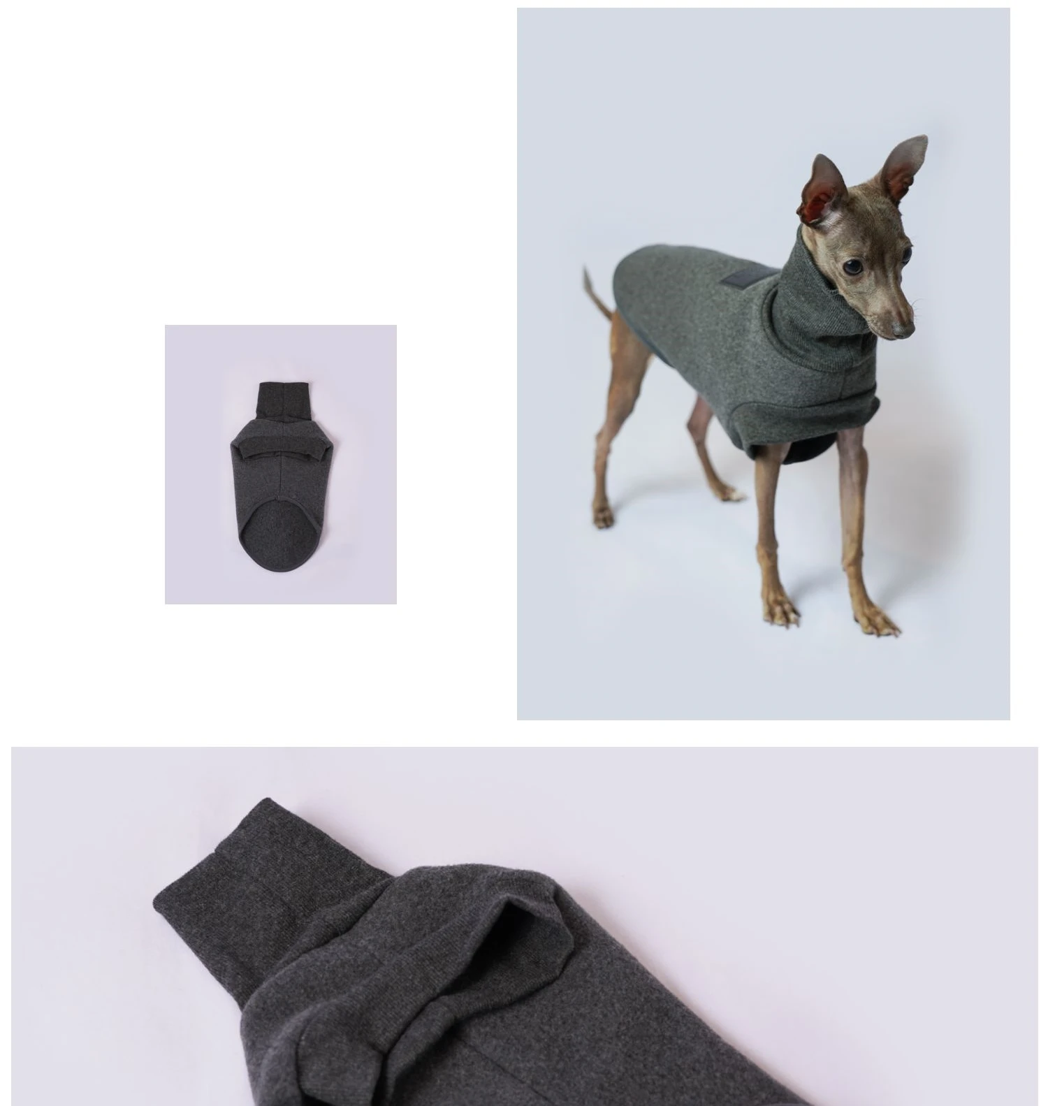 Perro Yorkshire con el jersey puesto