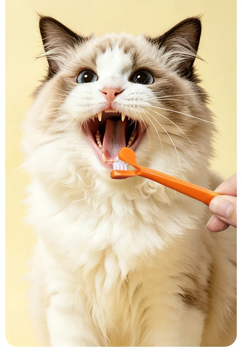 Cerdas orientadas para higiene dental