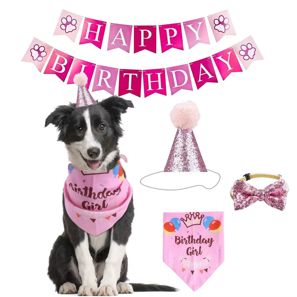 Kit fiesta cumpleaños para perro con sombrero, pancarta y globos - imagen 3