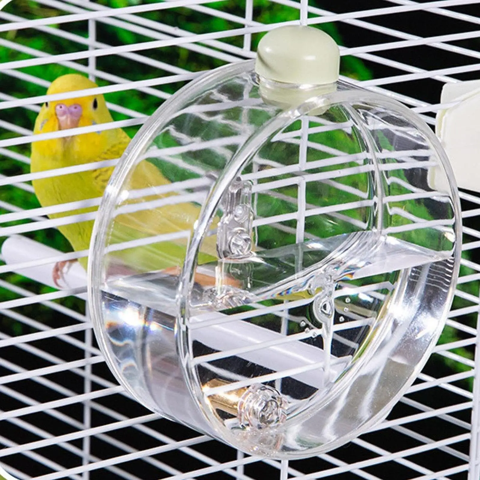 Bebedero automático con botella resistente para loros