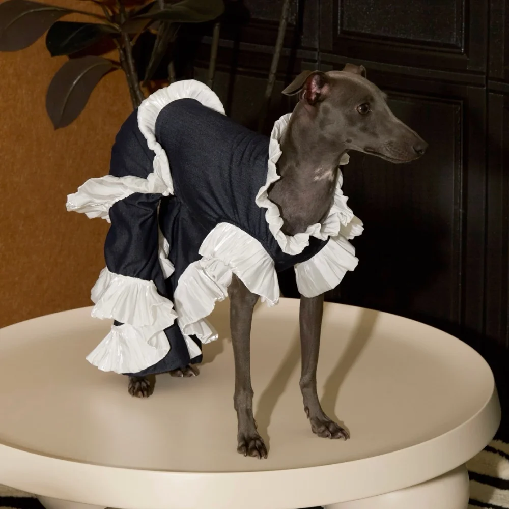Vestido de fiesta de verano elegante para Galgo Italiano y Whippet - imagen 2