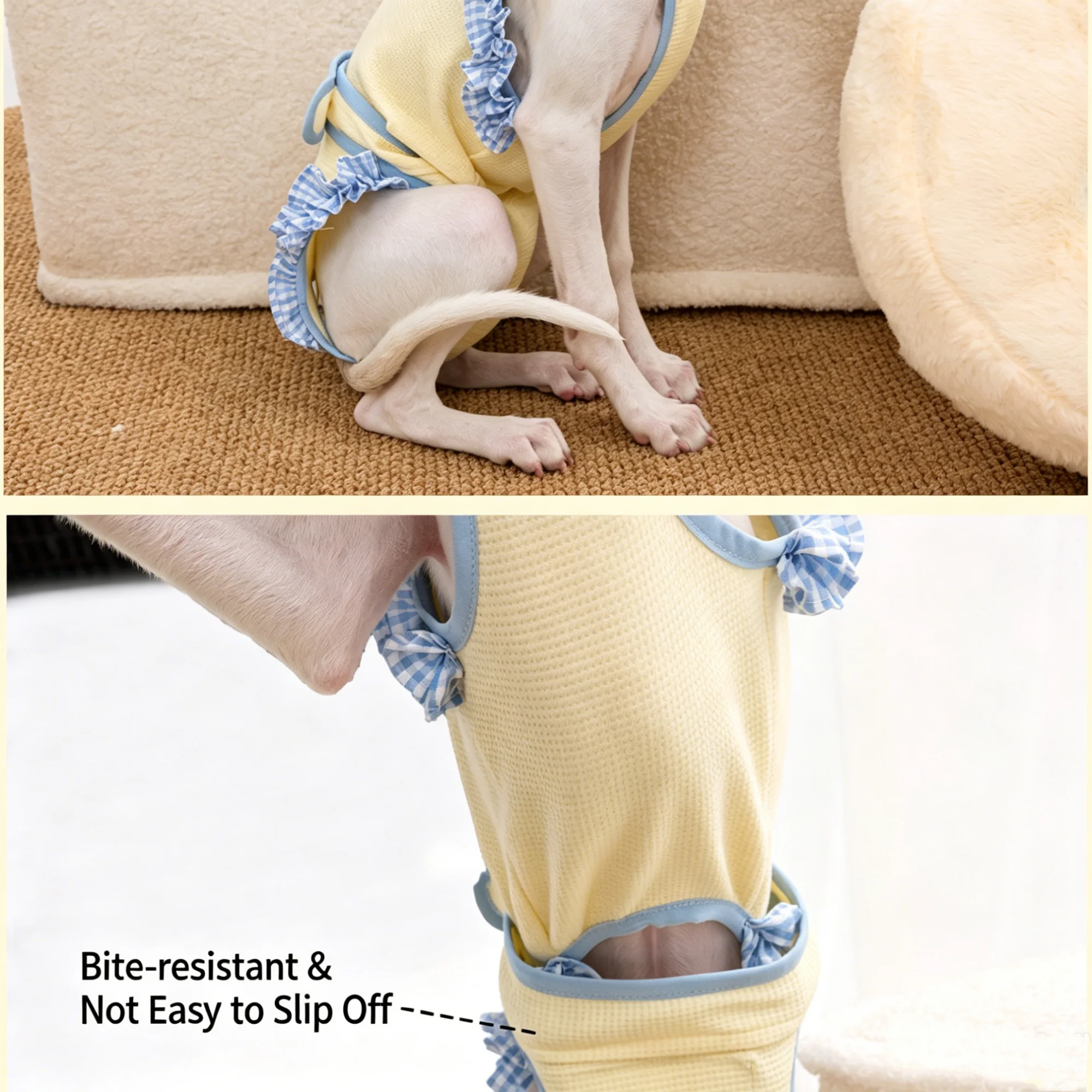 Pantalón sanitario suave para perras de galgo italiano, anti-estrés - imagen 3