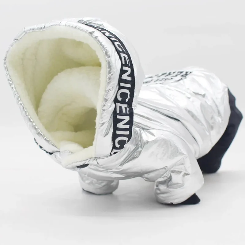 Perro pequeño con chaqueta impermeable