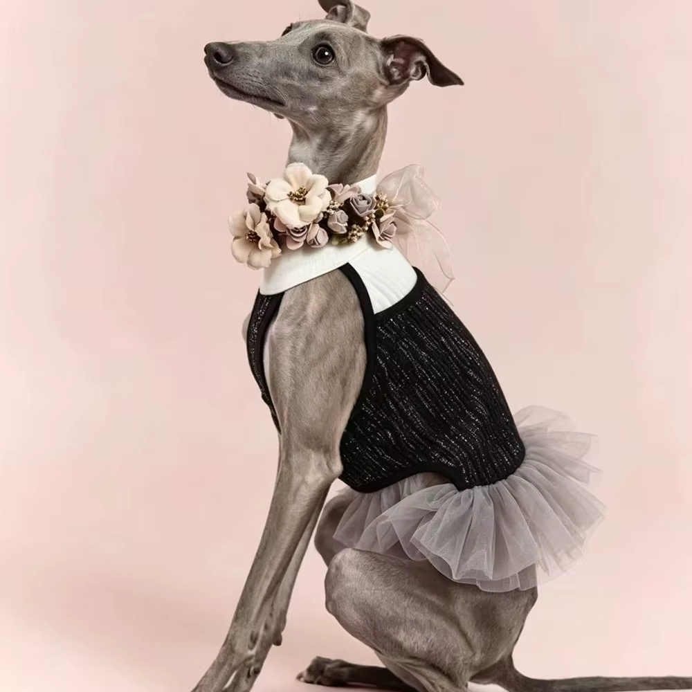 Vestido de ballet para Whippet y Bedlington, falda encaje sin mangas - imagen 2