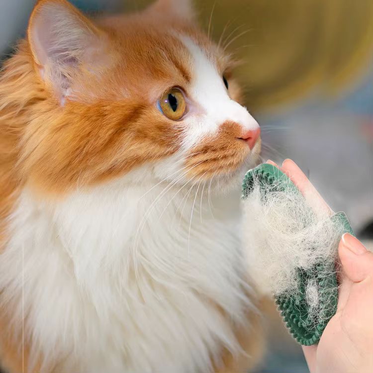 Cepillo de masaje para mascotas durante el baño