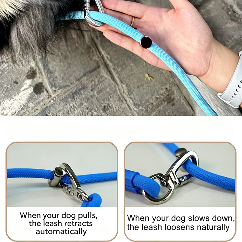 Correa manos libres para perros – Cinturón cintura correr nylon - imagen 5