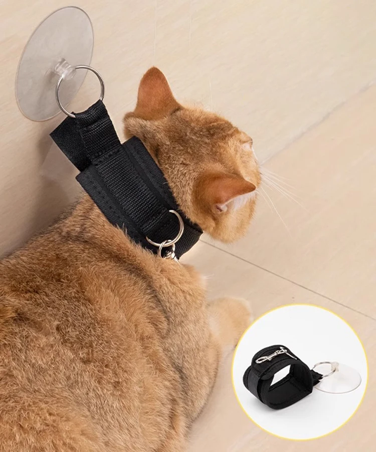 Collar ajustable para ducha de gatos con ventosa