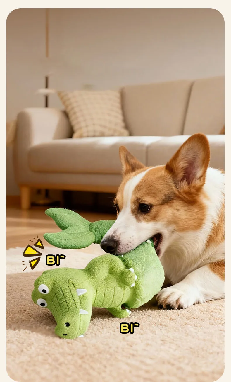 Perro jugando con el cocodrilo