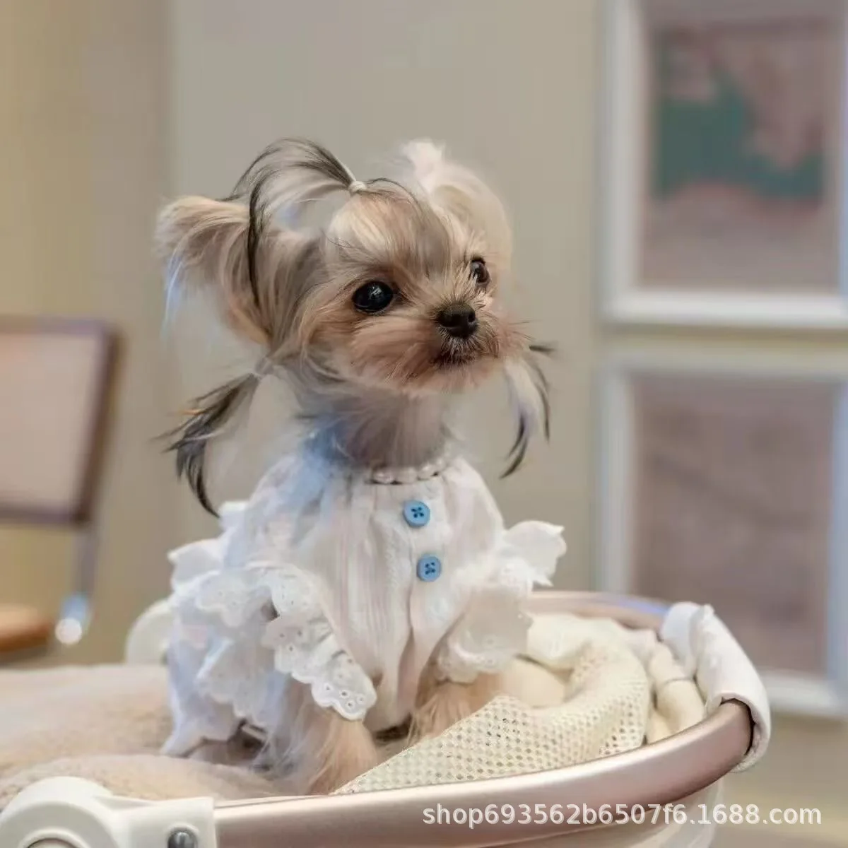 Vestido holgado para gato con mangas voladas