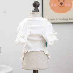 Camiseta de otoño para perros – Top suave con estampado de letras