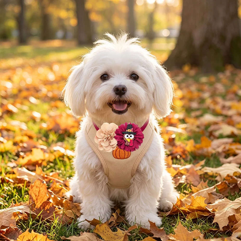 Lazos Ajustables para Collares de Perros y Gatos - imagen 2