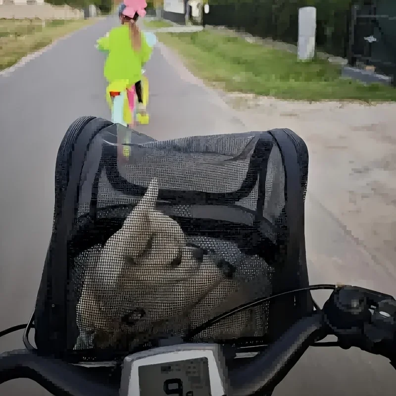 Funda enrollada para transporte