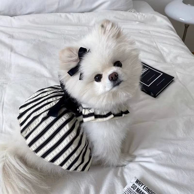 Ropa verano para perro Chihuahua: vestido transpirable con lazo - imagen 2