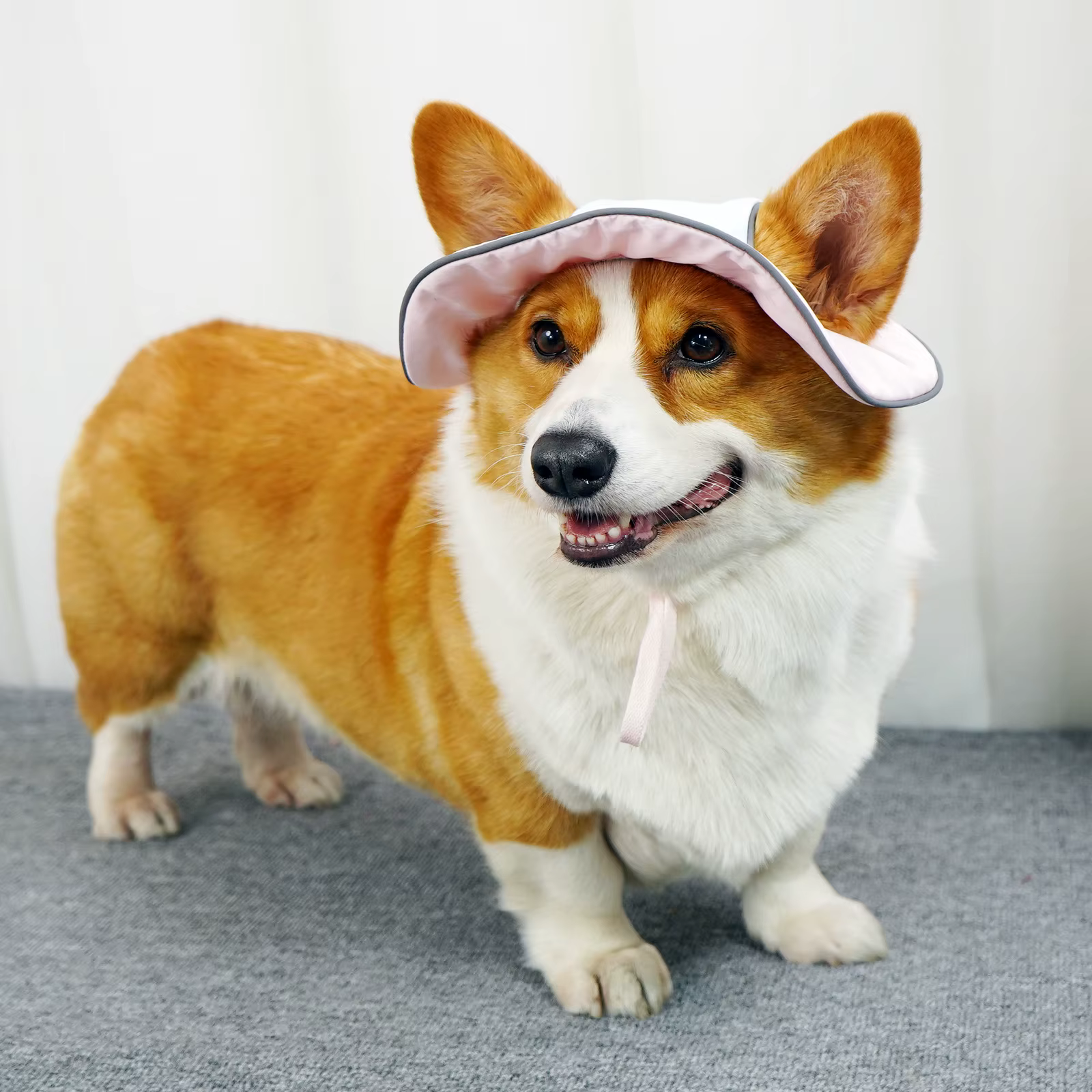 Sombrero para perro con protección solar transpirable todo el año - imagen 4
