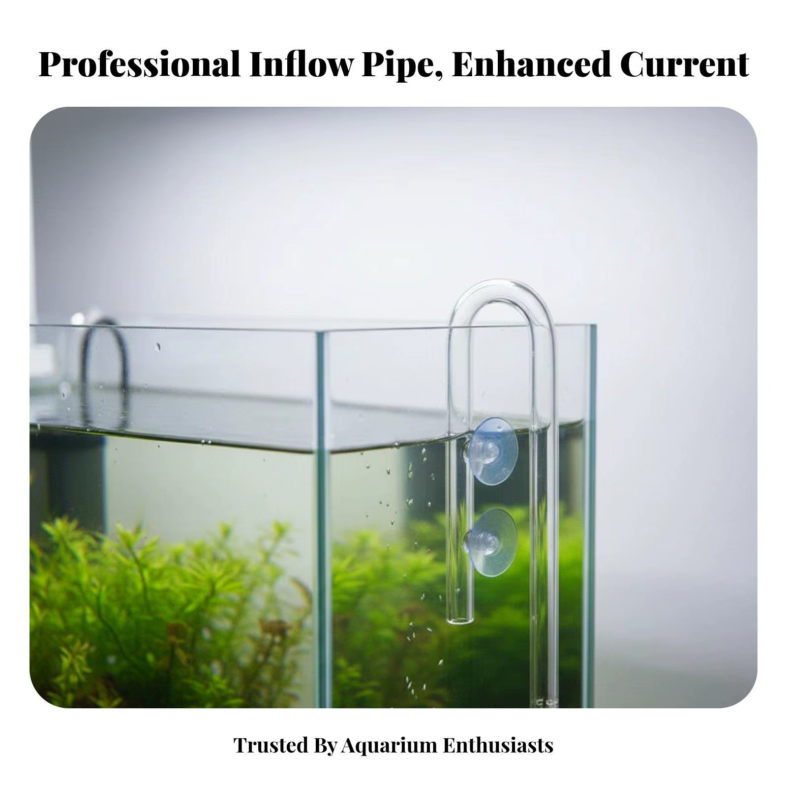 Tubo entrada agua cristal para acuario – Compatible filtro canister Lily Pipe - imagen 4