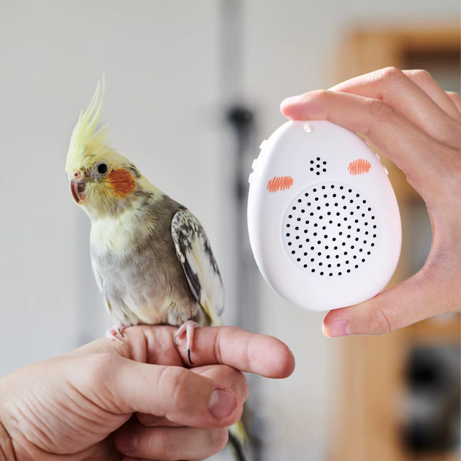 Dispositivo de entrenamiento vocal para aves
