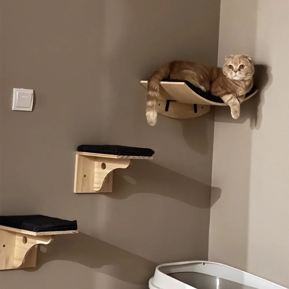 Módulos montados en pared para gatos