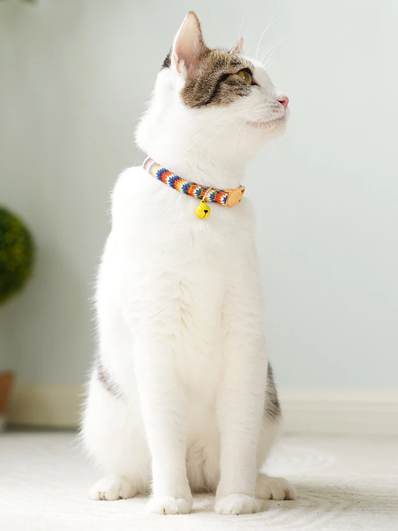 Collar de campana colorido en gato