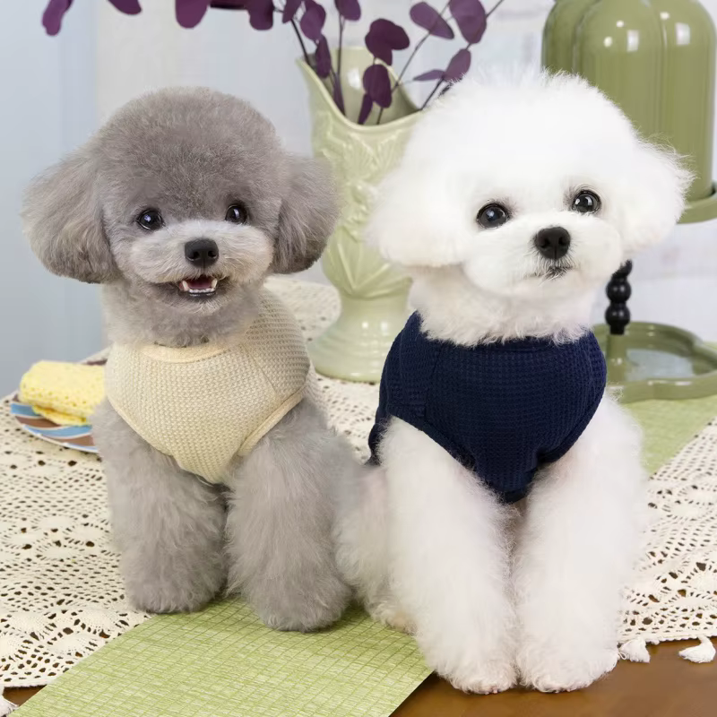 Camiseta verano estampado oso para perros pequeños y gatos - imagen 2