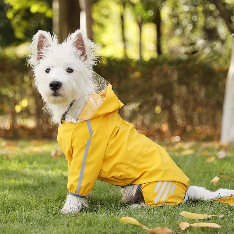 Empaque y presentación del impermeable para perros Storm reflectante