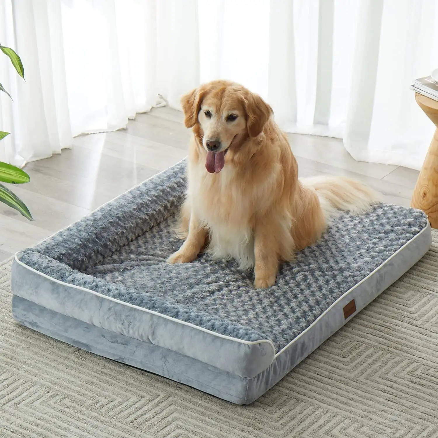 Descanso duradero para mascotas