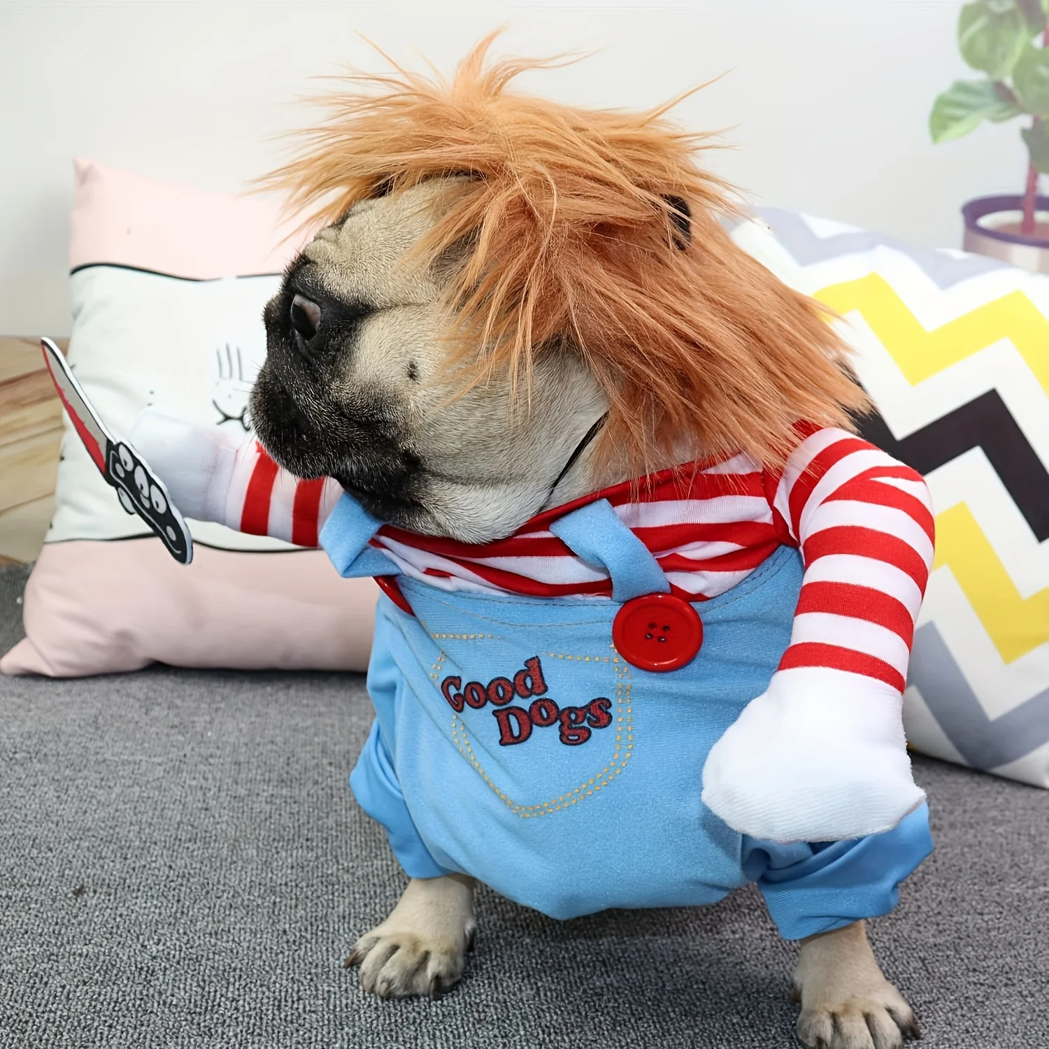 Perro small con disfraz de Halloween