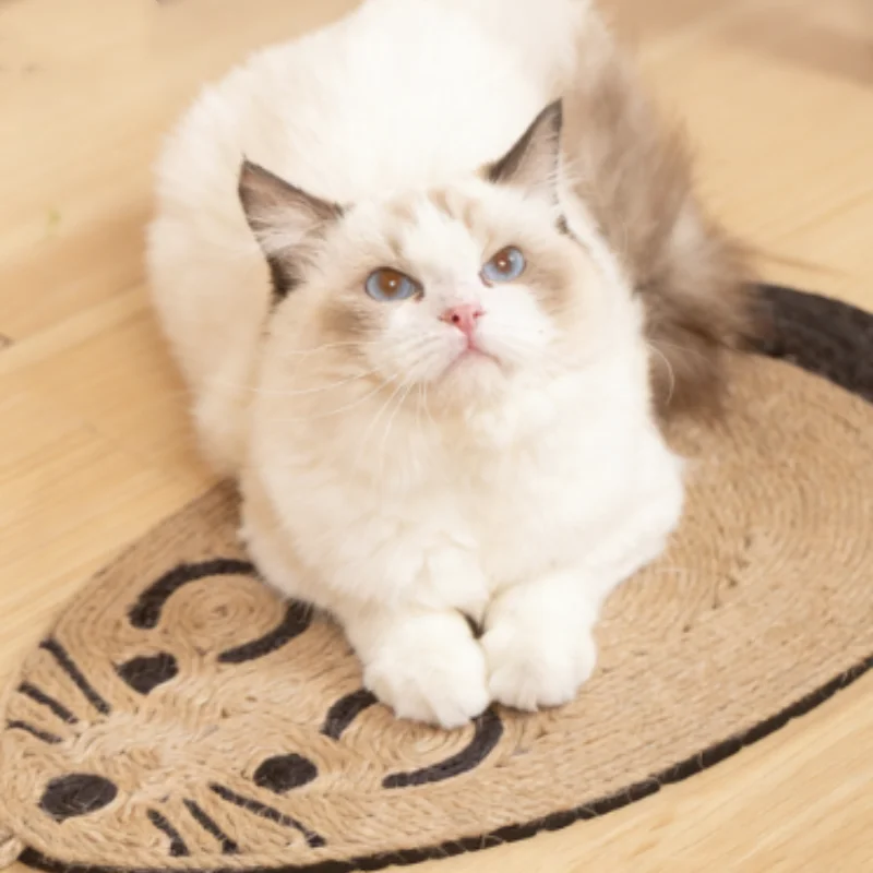 Rascador de sisal para gatos con forma de ratón, evita arañazos - imagen 4