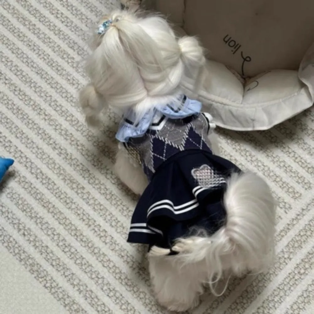 Modelo en color azul marino para Schnauzer