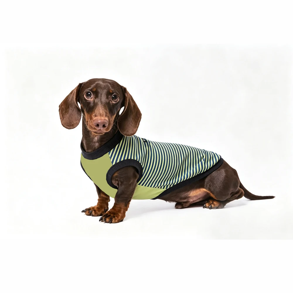 Detalle de la camiseta a rayas para perro