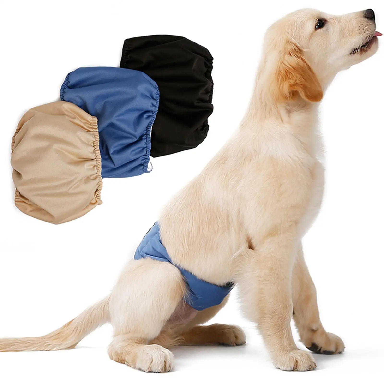 Pañal puesto en perro de tamaño medio mostrando ajuste