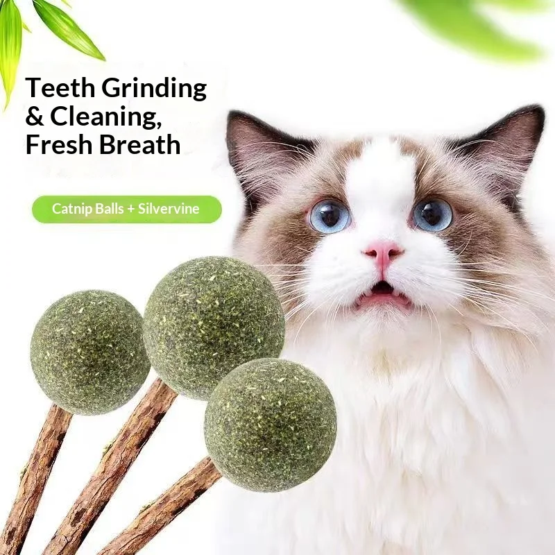 Palitos hierba gatera Silver Vine y bolas de menta para gatos - imagen 3