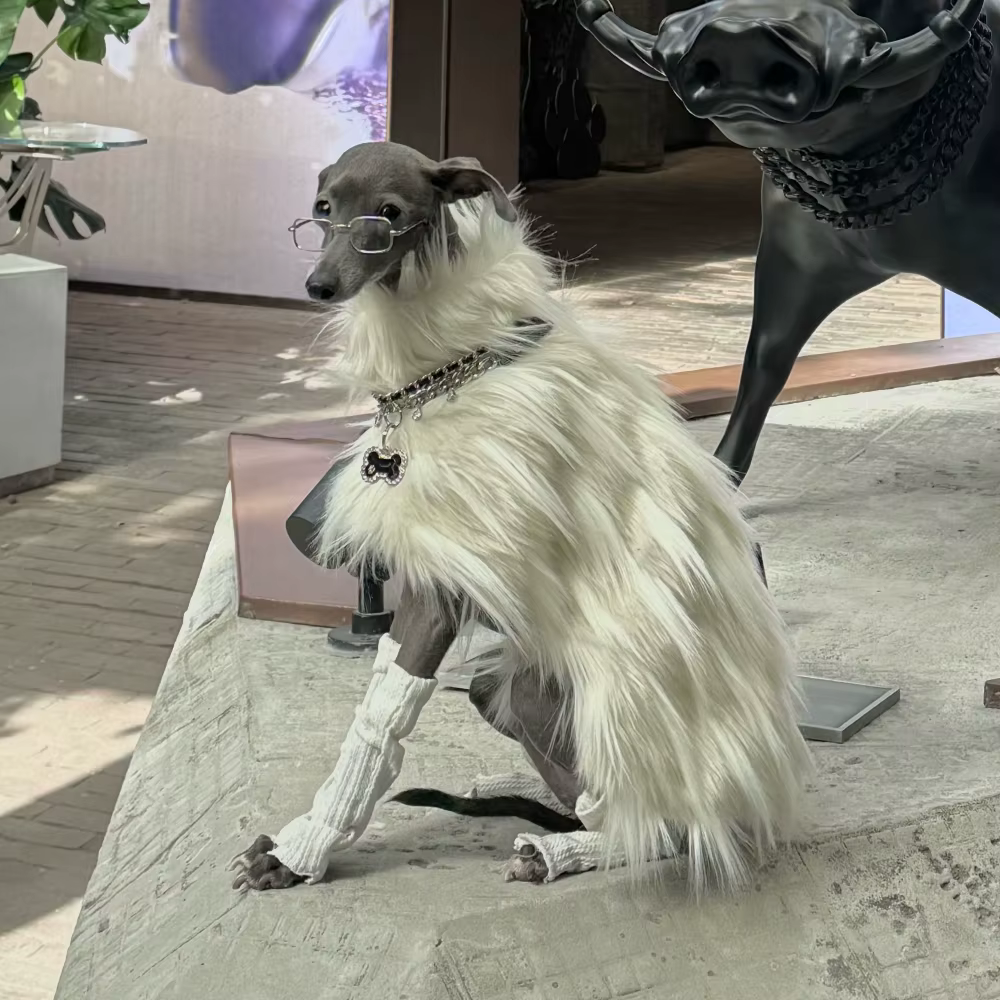 Guía de medición de tallas para abrigo de perro
