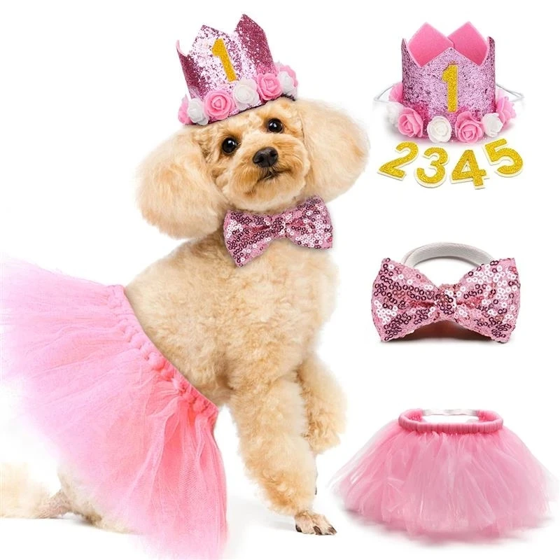 Gorro con lentejuelas para perro en fiesta de cumpleaños