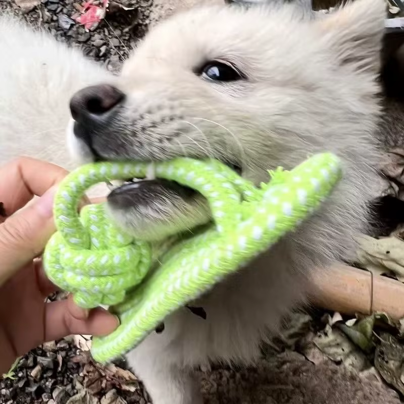 Mordedor dental de cuerda para perros – Juguete interactivo