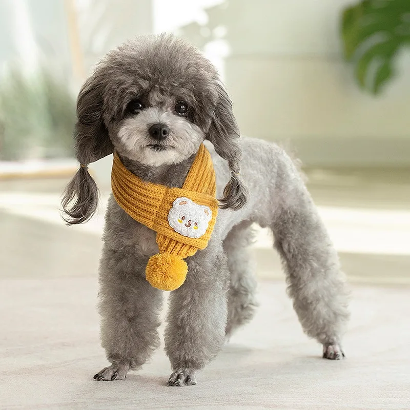 Modelo puesto en mascota