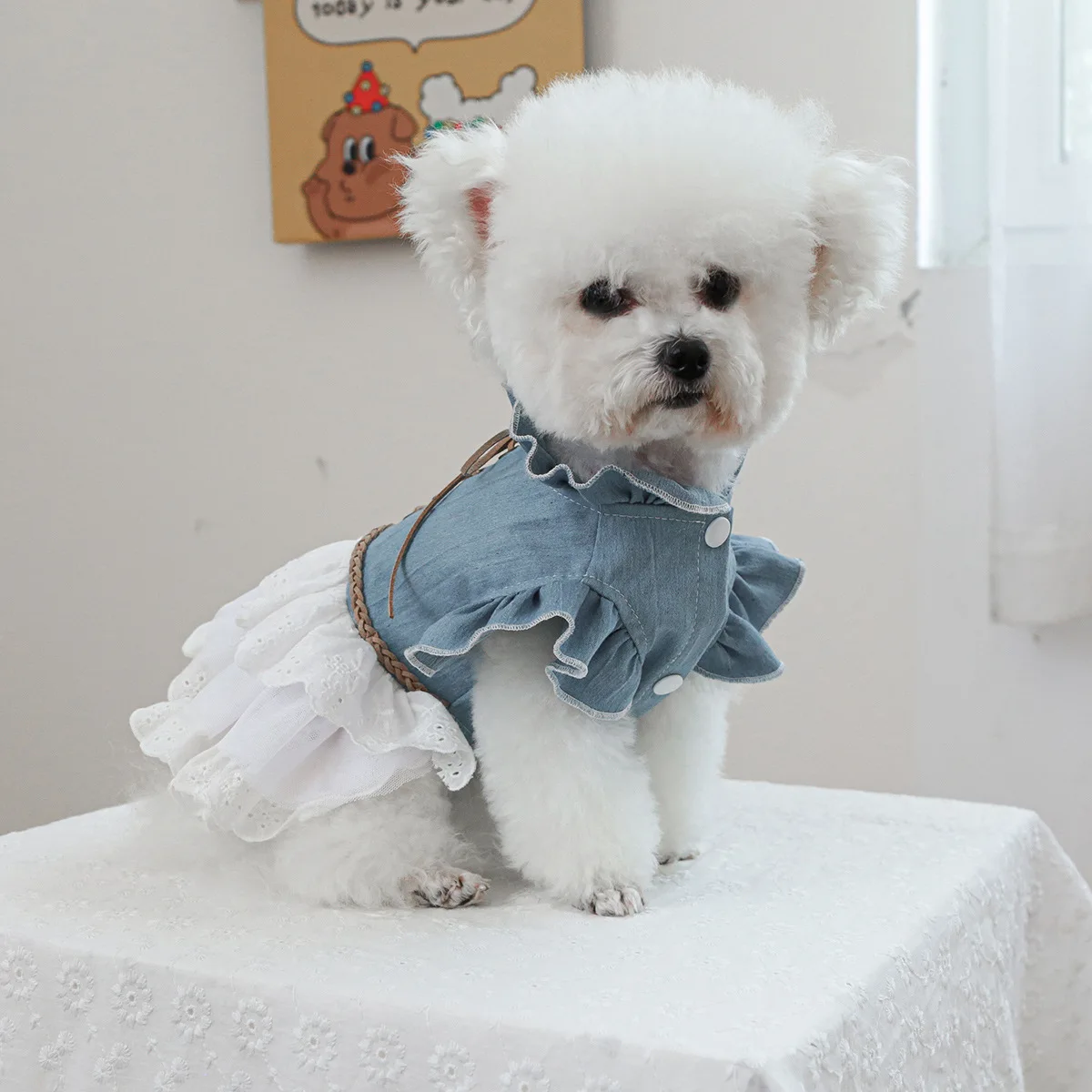 Modelo usado por un perro pequeño