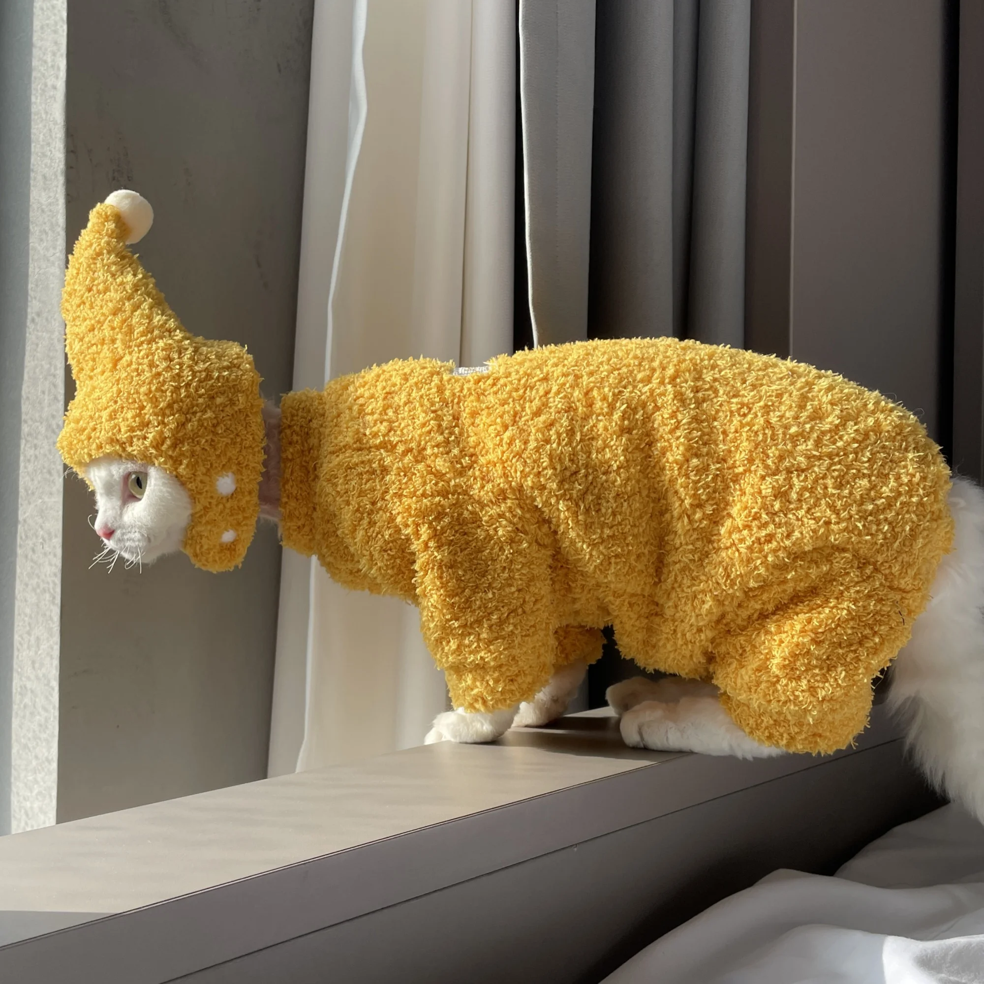 Gato con abrigo en ambiente festivo