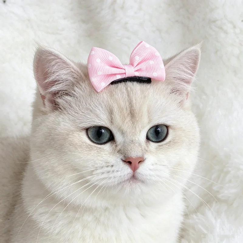 Pinzas para el pelo con lazo de lunares para perros y gatos - imagen 3