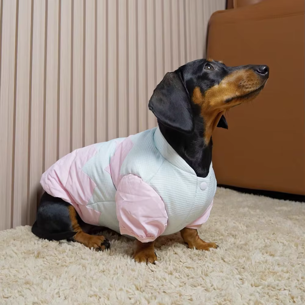 Chaqueta impermeable cálida para perros salchicha (wiener) - imagen 3