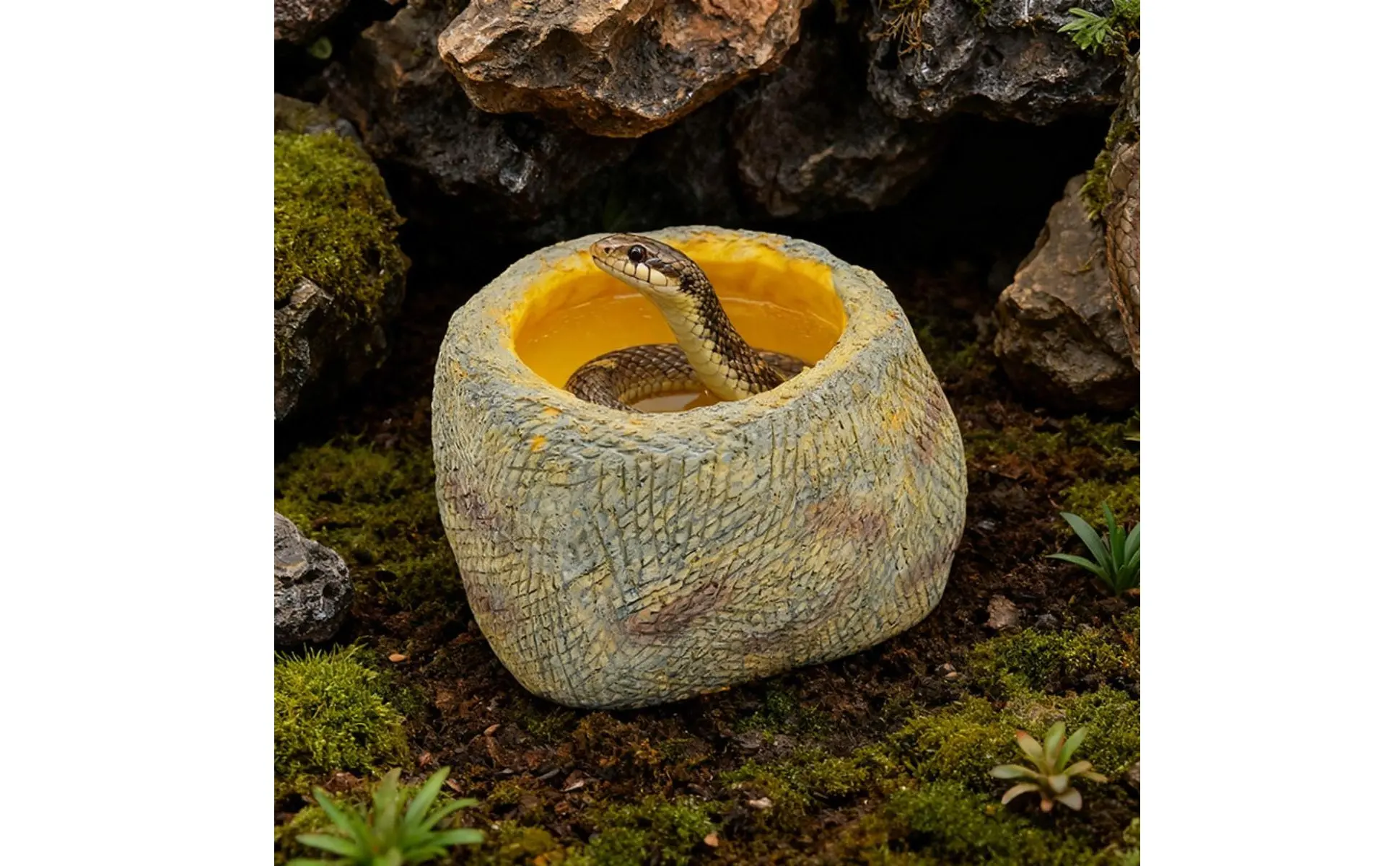 Base estable y diseño práctico para agua