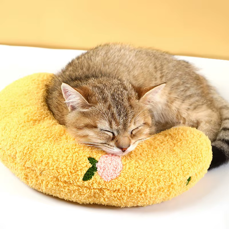 Mascota descansando sobre la almohada de peluche