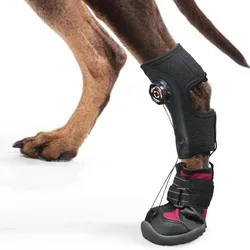Zapatos antideslizantes para gatos y perros, transpirables, limpios