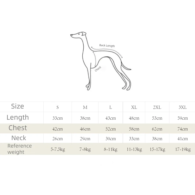 Chaqueta térmica para galgo italiano en posición de descanso