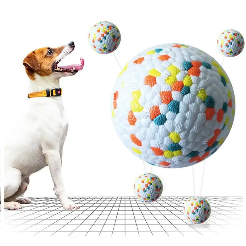 Accesorios hinchables para perros