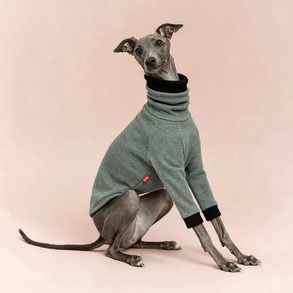 Camiseta perro cuello alto algodón elástico manga larga Galgo Italiano - imagen 2