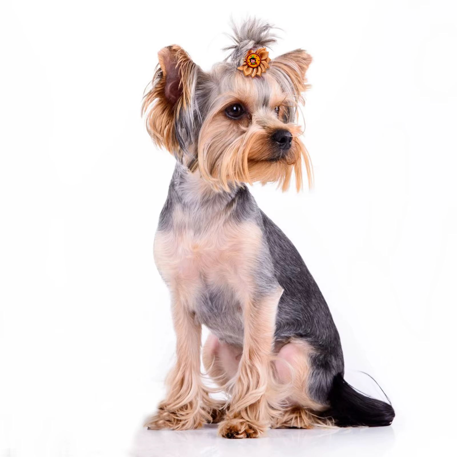 Lazos para el pelo de perro con diseño de otoño y gomas elásticas - imagen 2