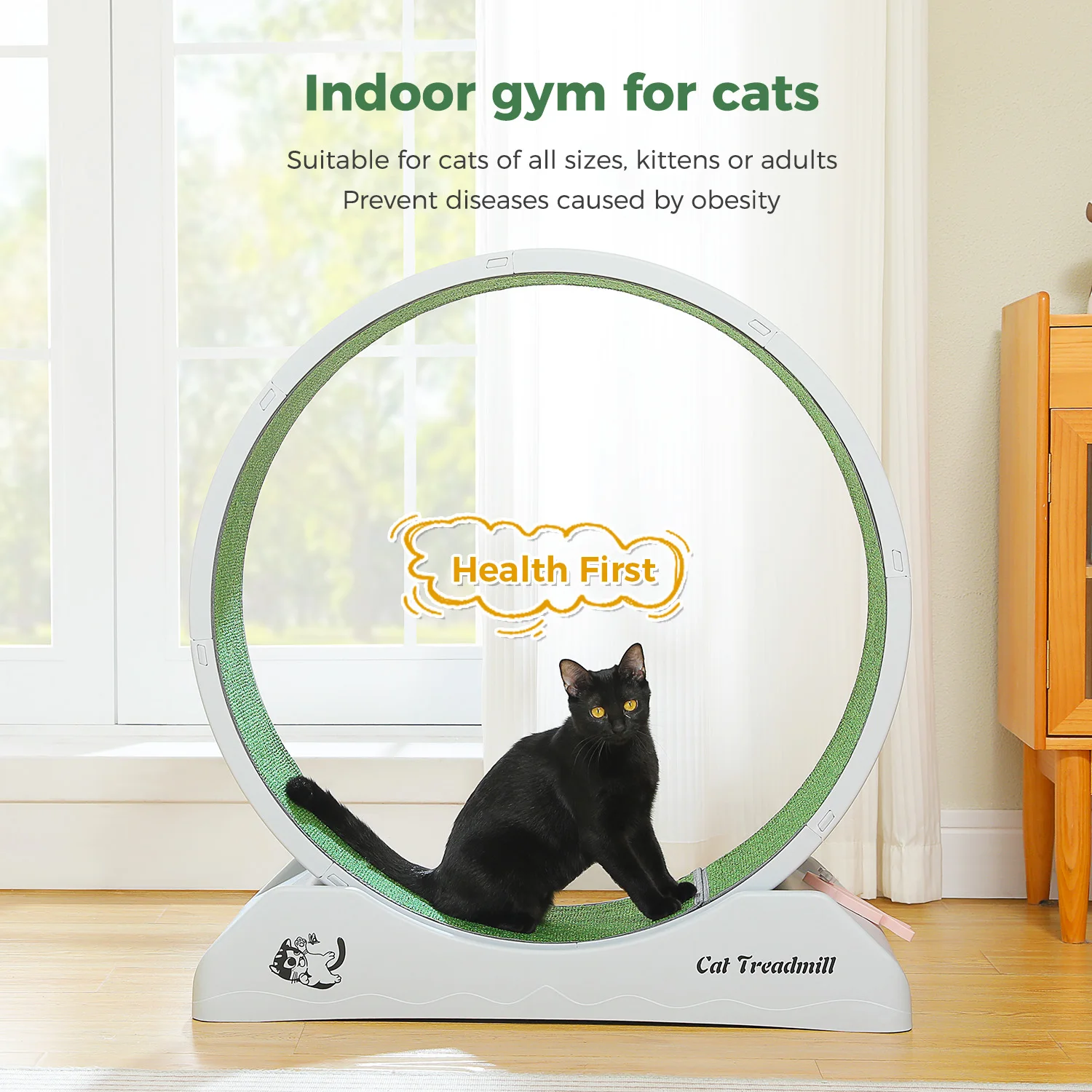 Rueda de ejercicio para gatos, pista desmontable