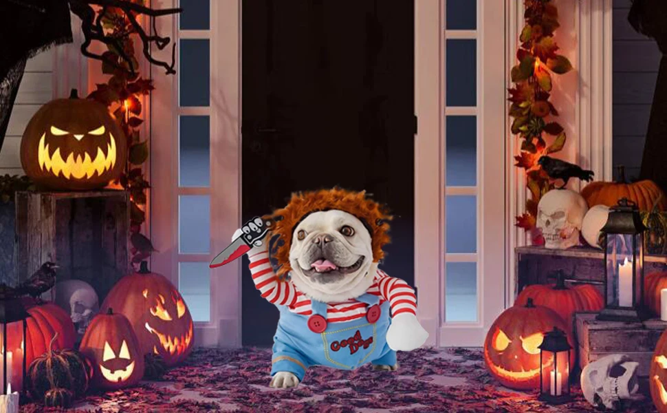 Disfraz cómodo para perro en Halloween